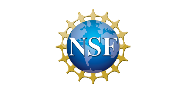 NATIONAL SCIENCE FOUNDATION