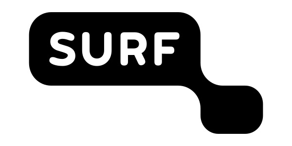 DUTCH NATIONAL E-INFRASTRUCTURE SUPPORTED BY SURF